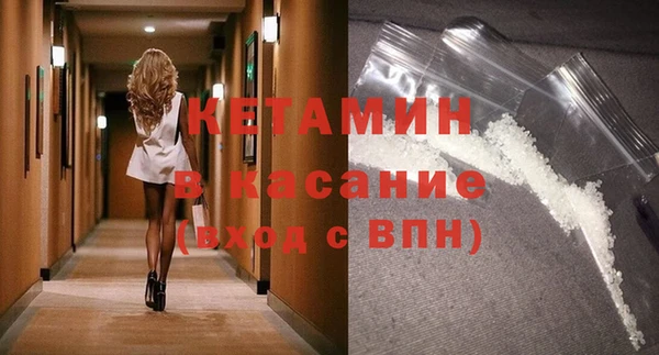 гашик Алексин