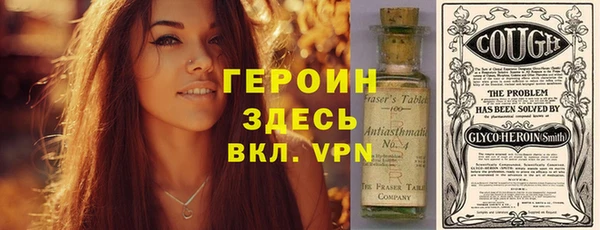 гашик Алексин