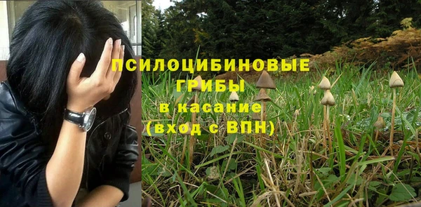 мяу мяу мука Армянск