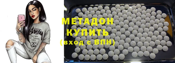 гашик Алексин